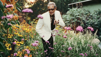 Jeff Goldblum & the Mildred Snitzer Orchestra de retour avec un nouvel album, ""Night Blooms"