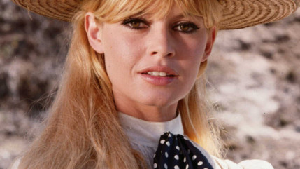 Quand Brigitte Bardot faisait swinguer Stevie Wonder : une reprise &agrave; red&eacute;couvrir