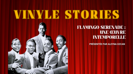 Vinyle Stories : Flamingo Serenade, l&rsquo;album culte qui a transform&eacute; le doo-wop en r&ecirc;ve romantique